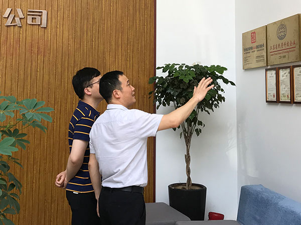 速耐自動(dòng)拉釘機(jī)